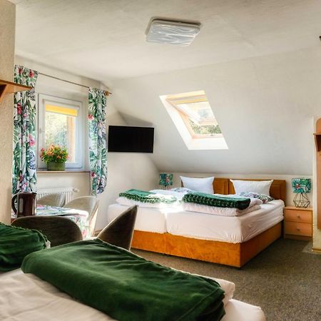 Osrodek Jagienka Zieleniec Bed & Breakfast ดุสนิกิ สดรอย ภายนอก รูปภาพ